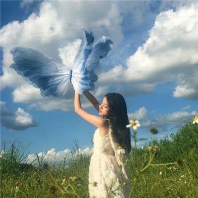 恋恋琴声
